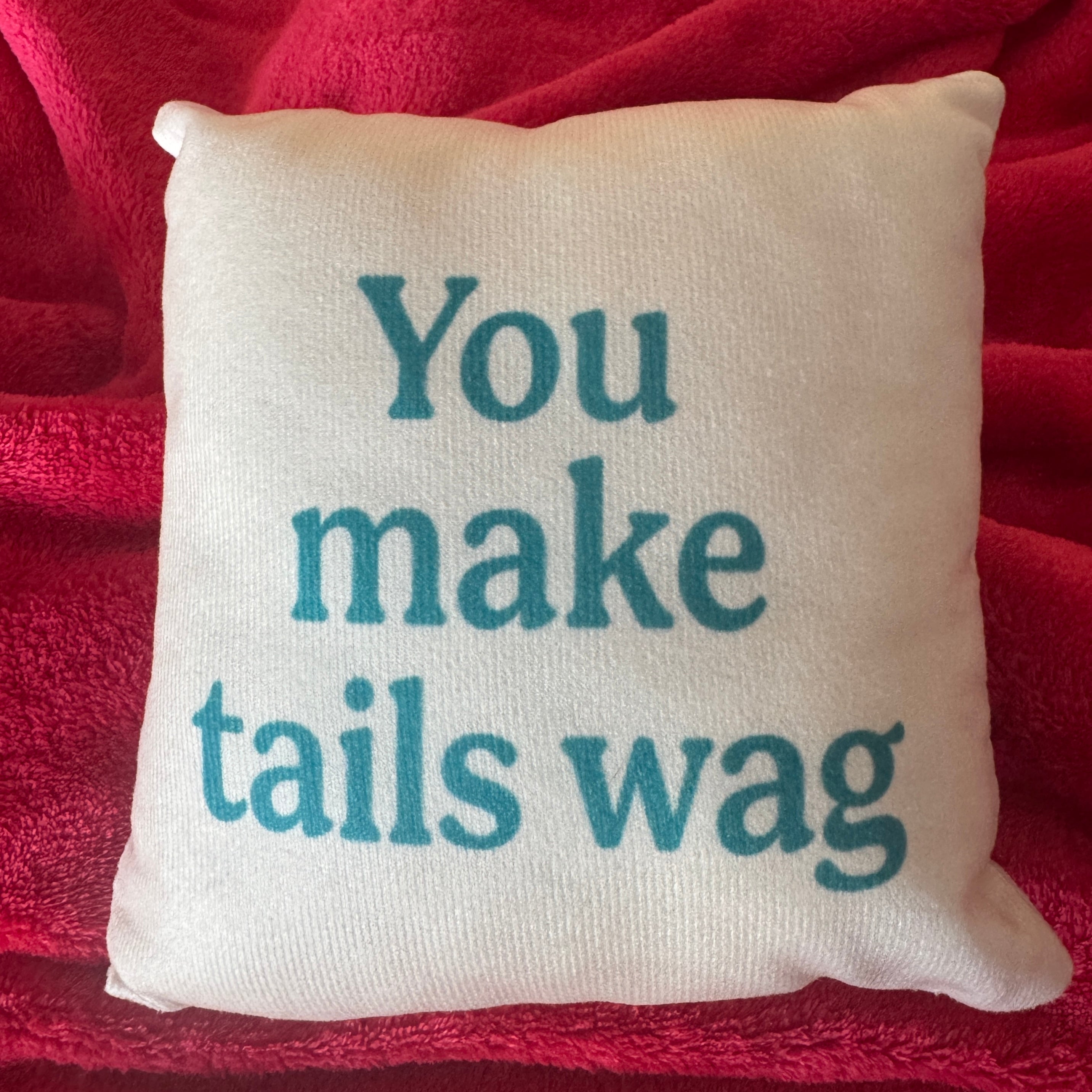 Mini Pillow: You make tails wag